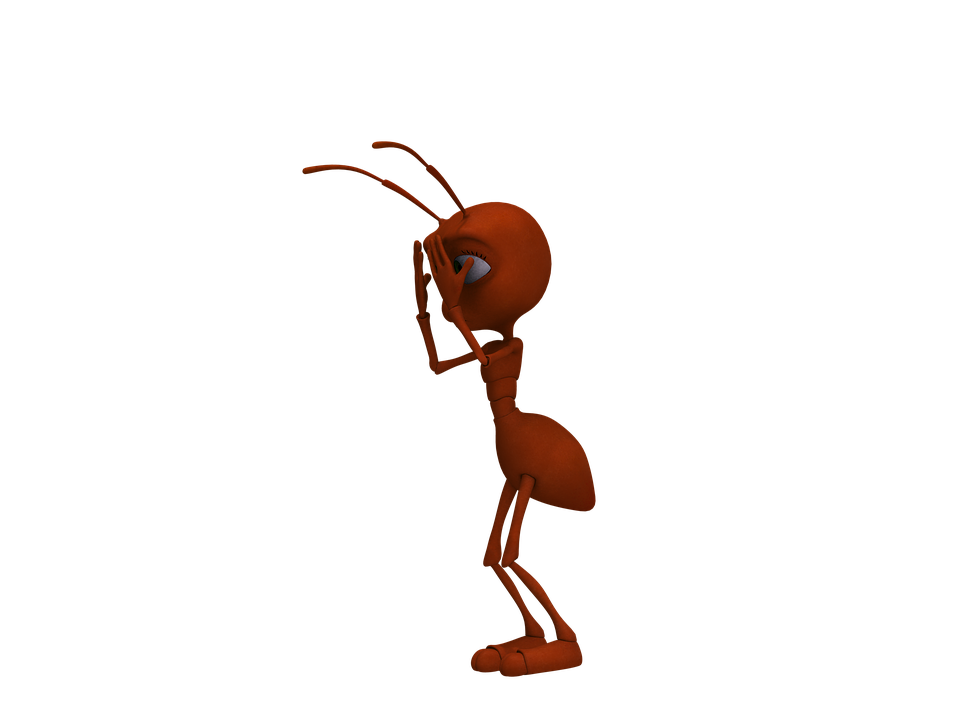 Red Ant PNG Pic