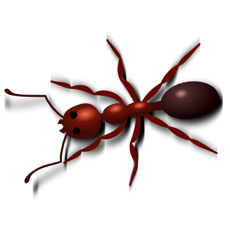 Red Ant PNG Transparent Image