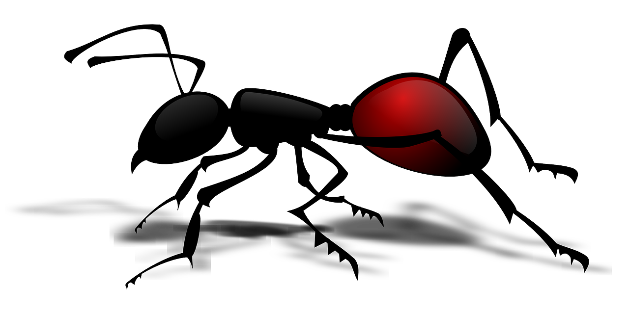 Red Ant PNG Transparent Picture