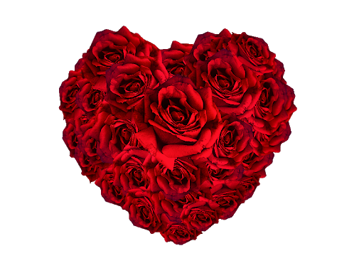 Red flower heart PNG Transparent Image