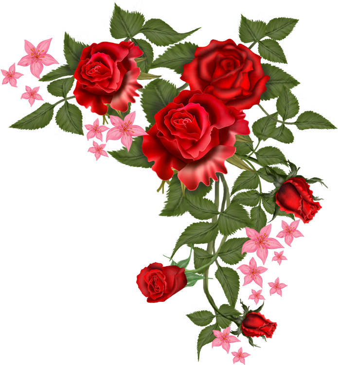 ดอกไม้สีแดงเวกเตอร์ PNG