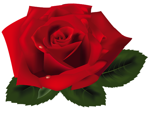 Red Saint Valentin Rose PNG Transparent