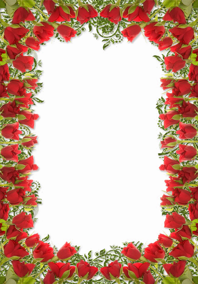 ภาพถ่าย PNG ของ ดอกกุหลาบ Floral Border