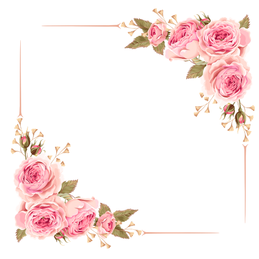 Quadro de borda de flor rosa transparente PNG