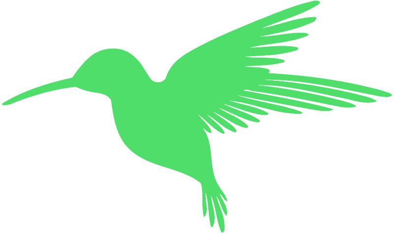 Sfondo Trasparente di colibrì della siluetta