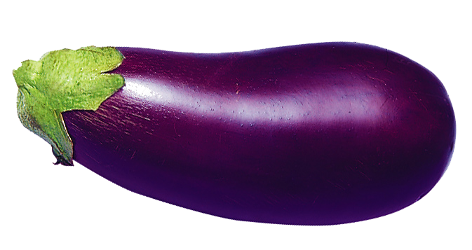 Single Brinjal Eggplant PNG Image