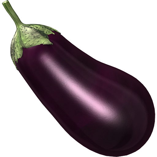 Single Brinjal Eggplant PNG Photos