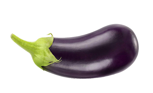 Single Brinjal Eggplant PNG Pic