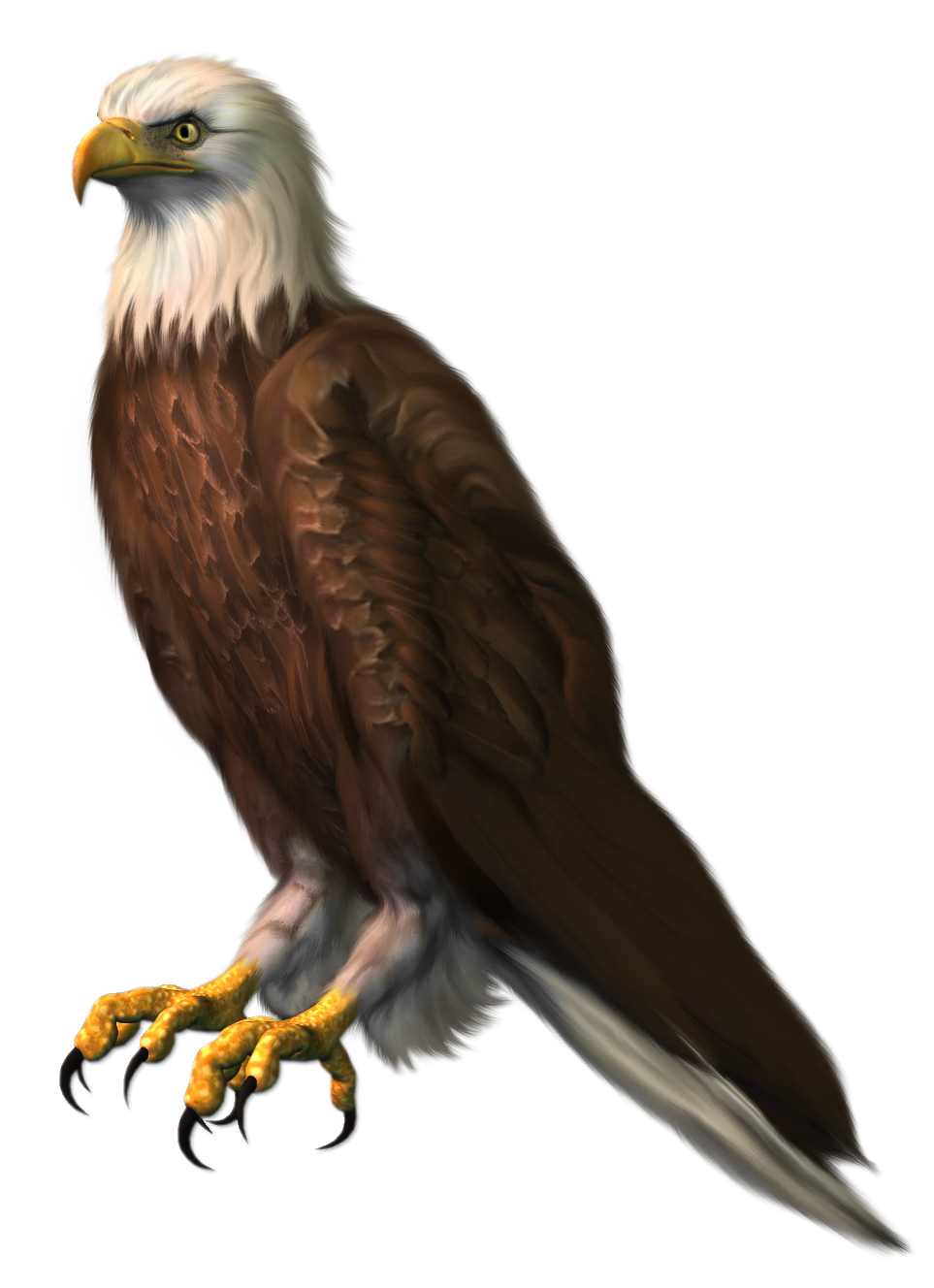 Sitting Eagle PNG Transparent Image