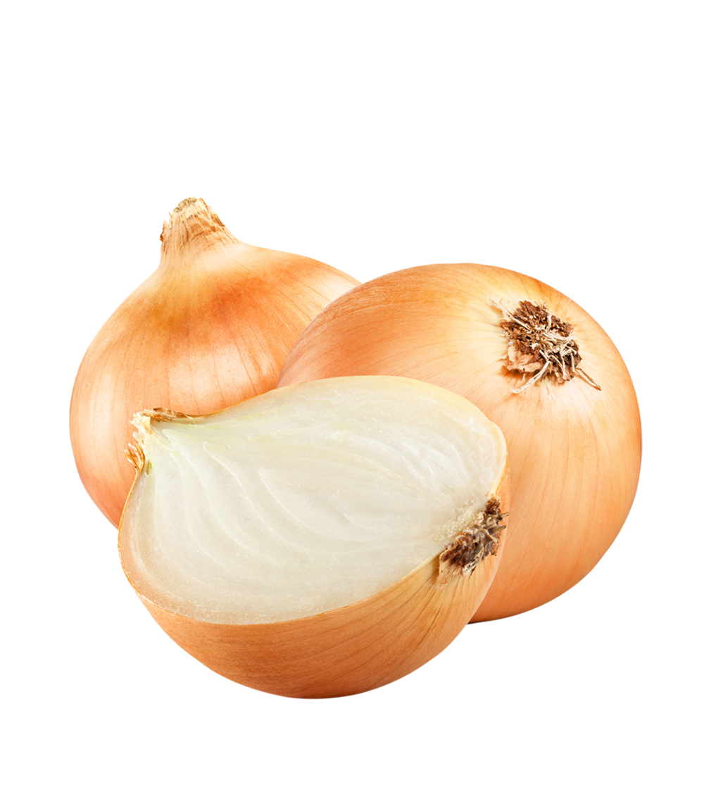 Slice Brown Onion PNG Photos