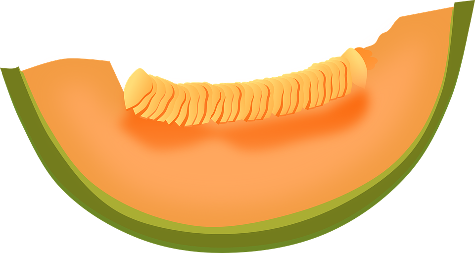 Slice Cantaloupe PNG Transparent Image