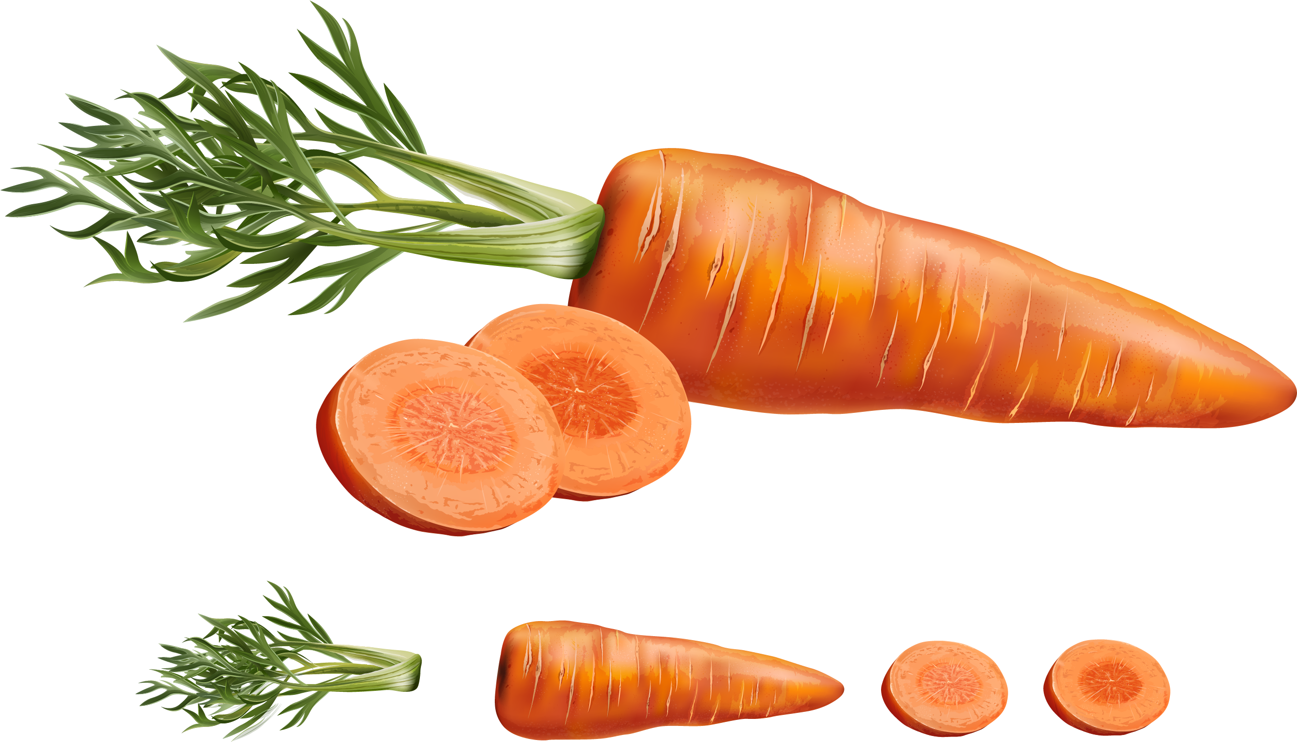 Slice Carrot Slices PNG File