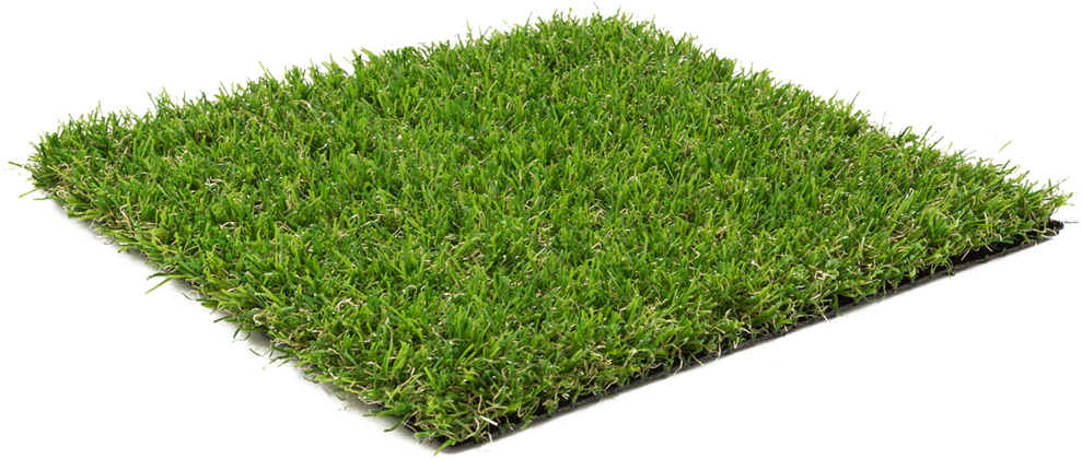Small Artificial Grass PNG
