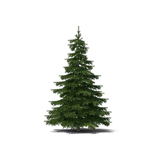 Pequeno Natal-árvore de Natal transparente PNG