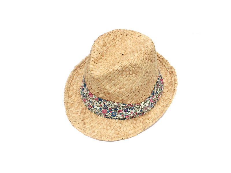 Sombrero plaj şapkası şeffaf arka plan
