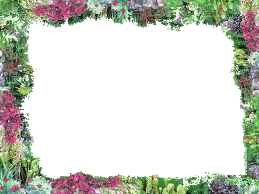 Square Flower Border Frame PNG Transparent Image