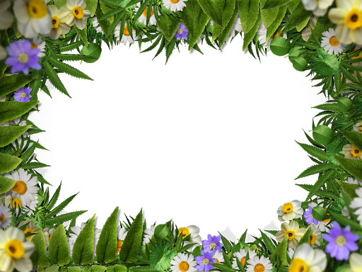 Marco de frontera de flores cuadradas PNG transparente