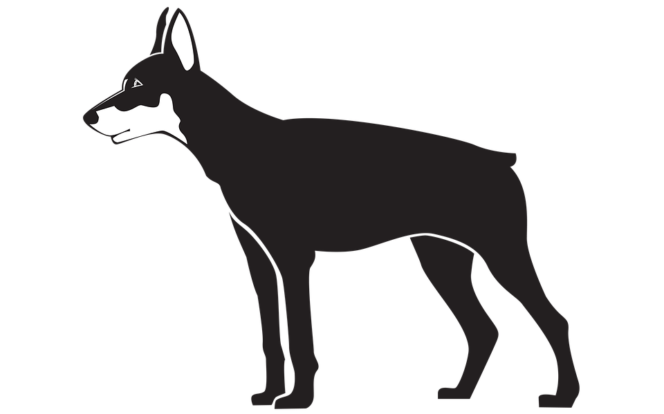 Standing Black Dog Transparent PNG