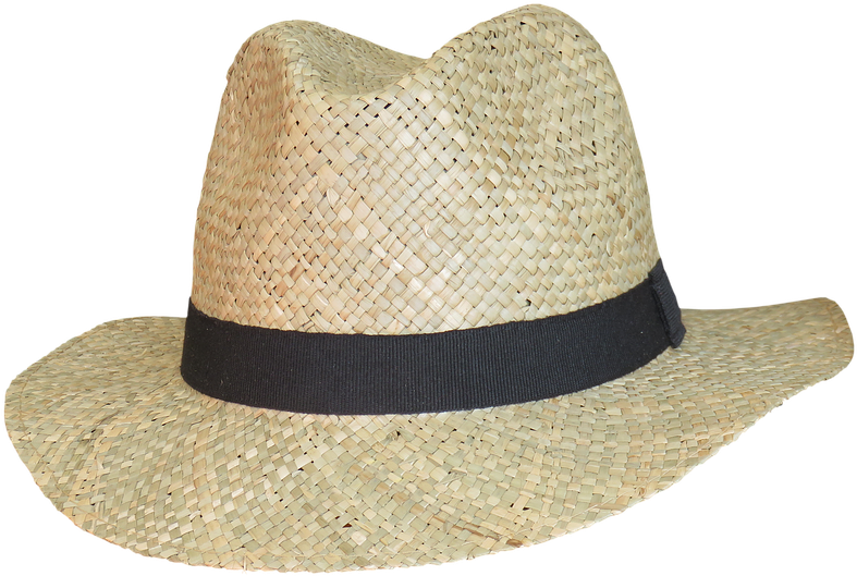 Imagen PNG del sombrero de paja