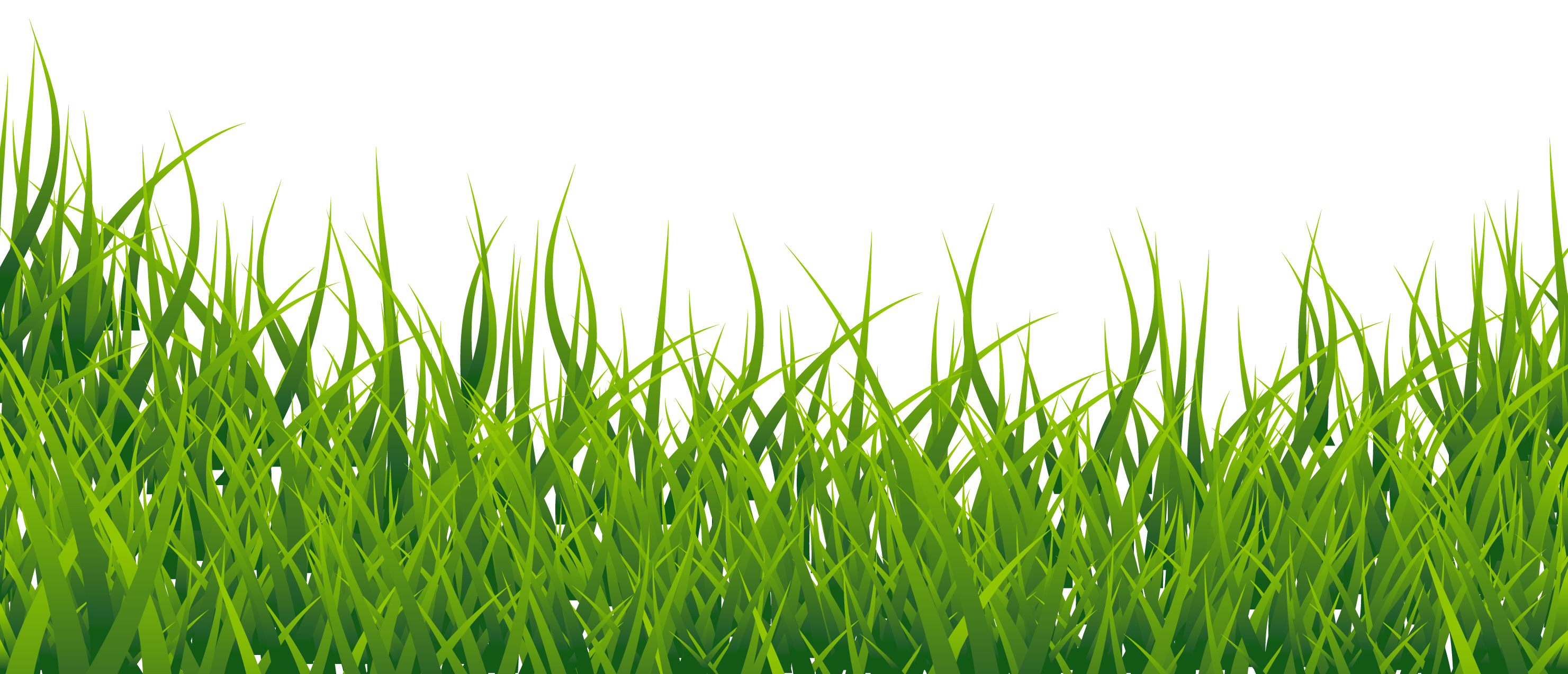 Summer Green Field PNG File