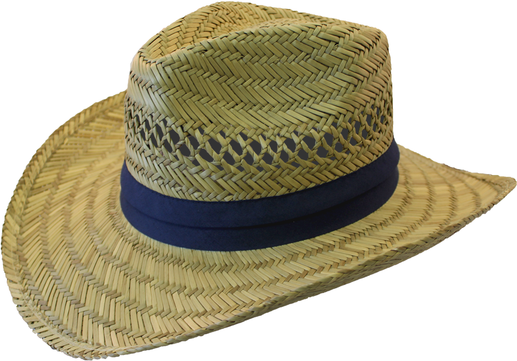 Sombrero de paja de verano PNG fotos