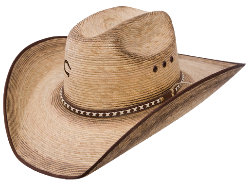 Sombrero de paja de verano PNG imagen transparente