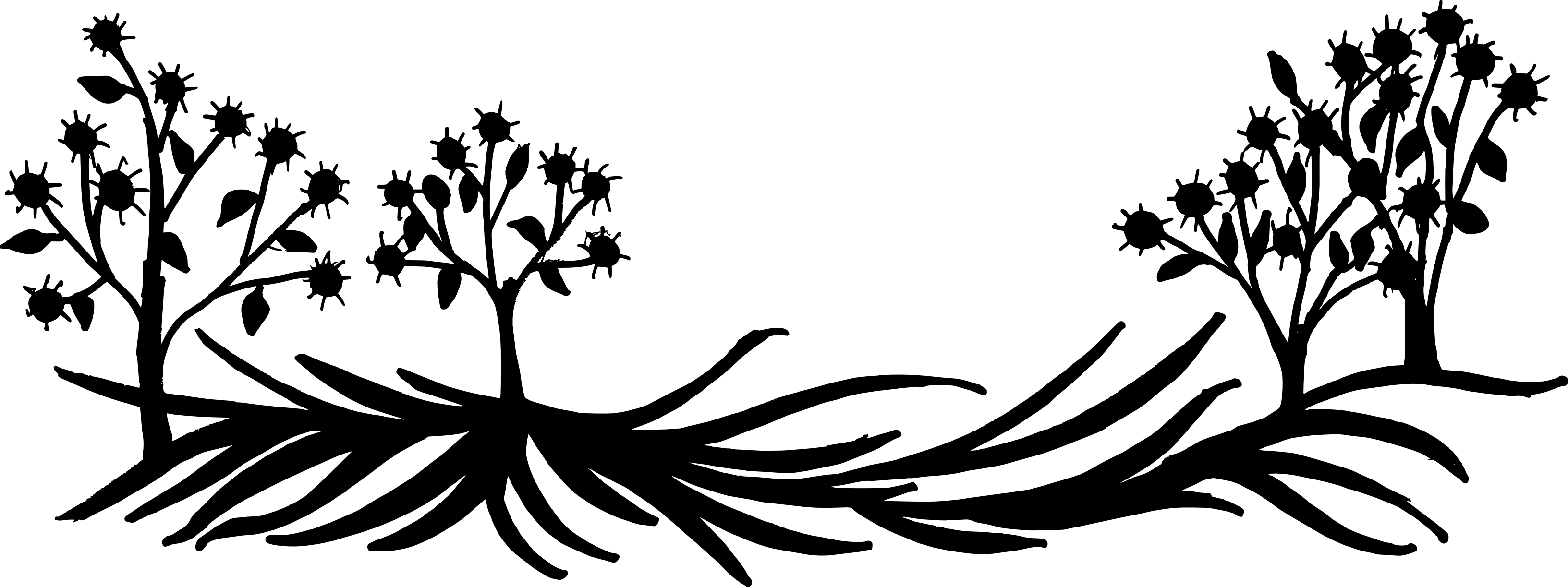 Вихревый цветочный силуэт PNG Image