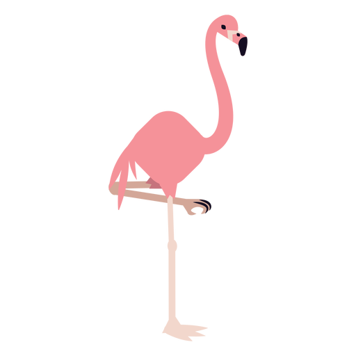 Tropical Flamingo Bird Vector Transparent PNG
