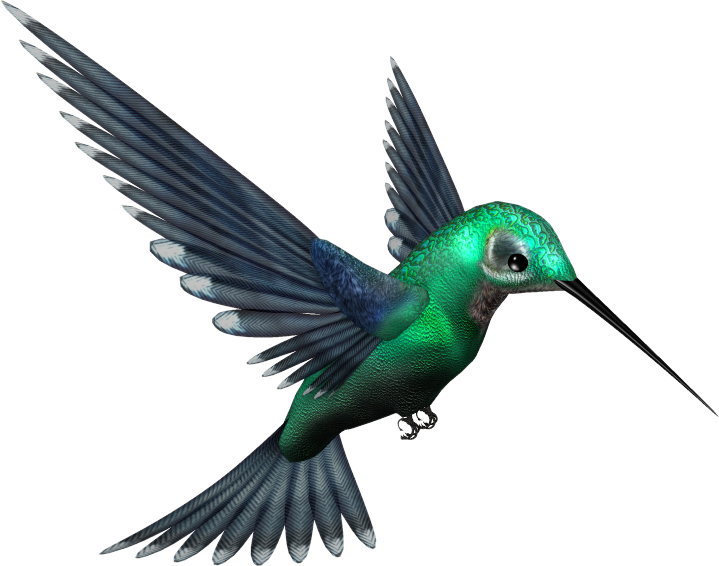 Turquoise Flying Hummingbird Transparent PNG