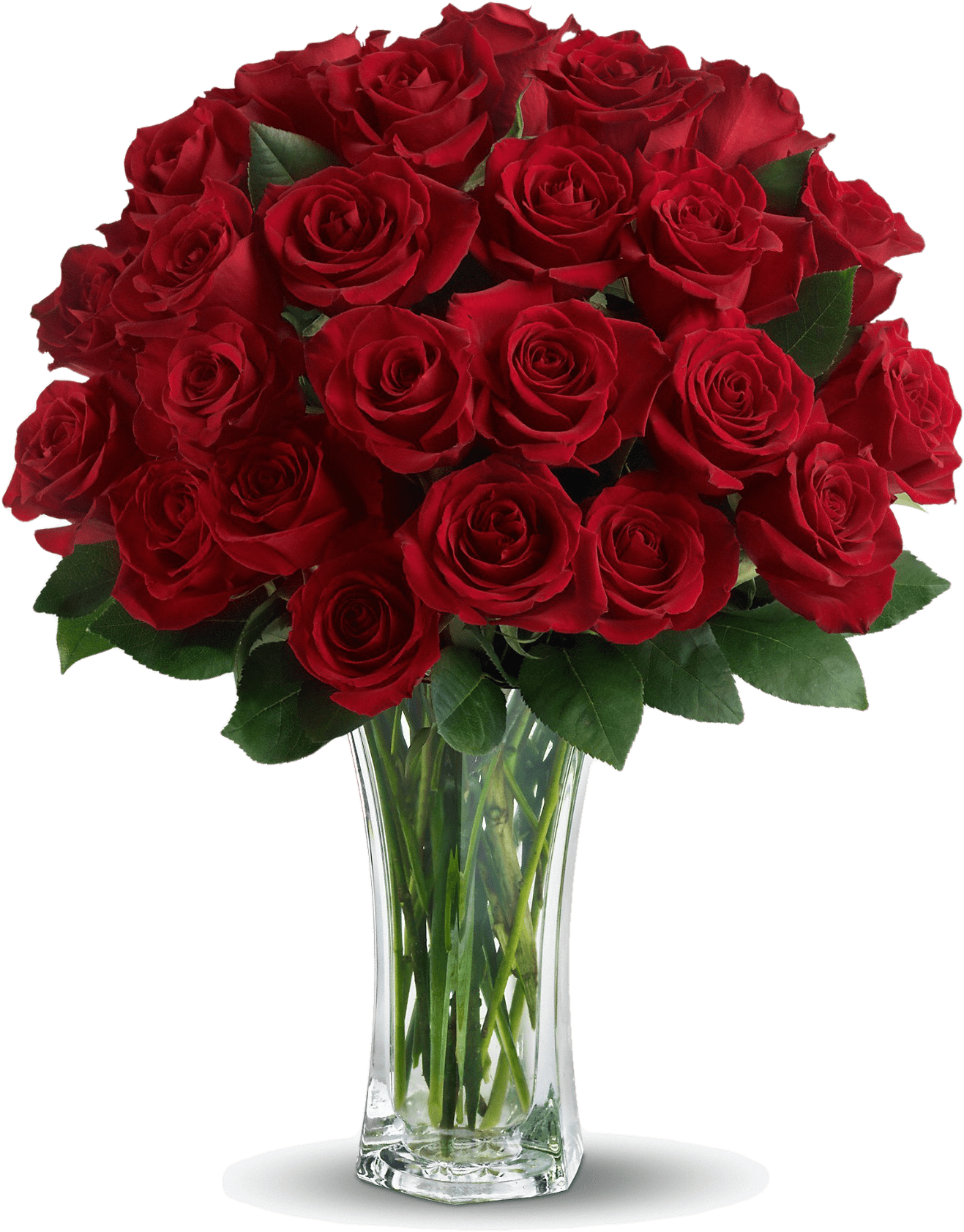 Valentines Day Rosas PNG File