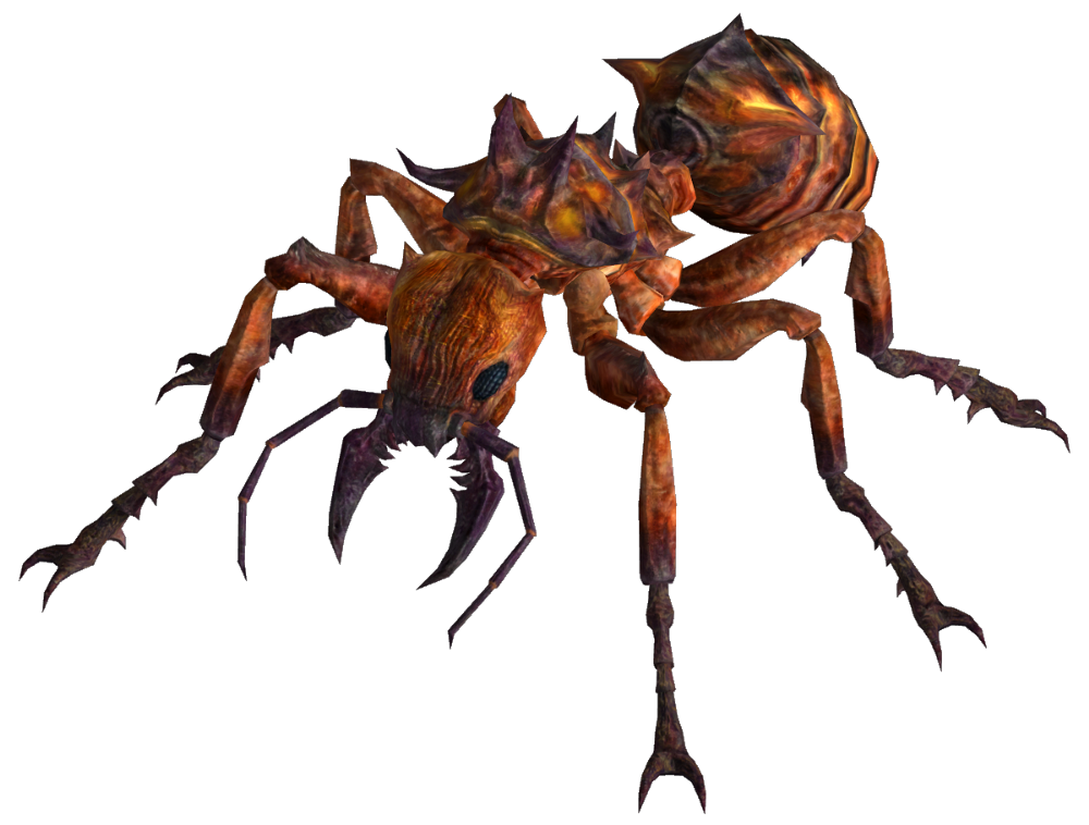 Vector Ant PNG File