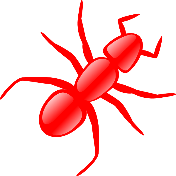 Vector Ant PNG HD
