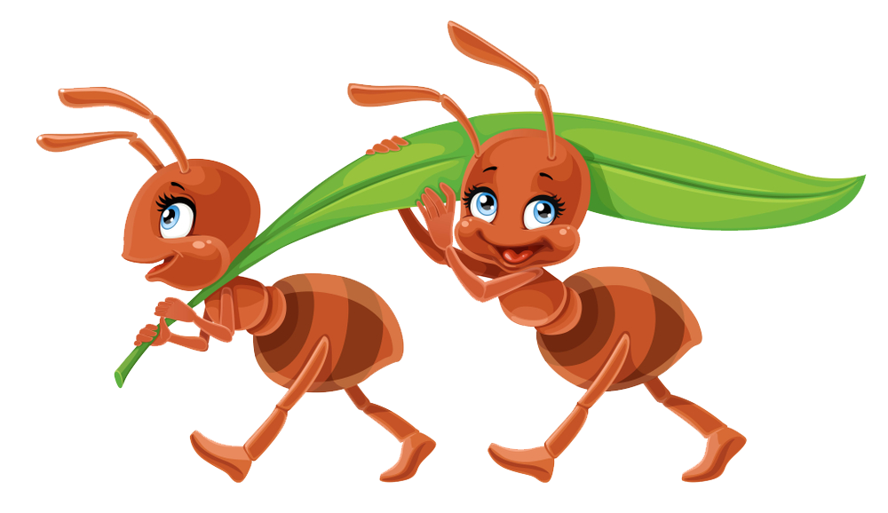 Vector Ant PNG Photo