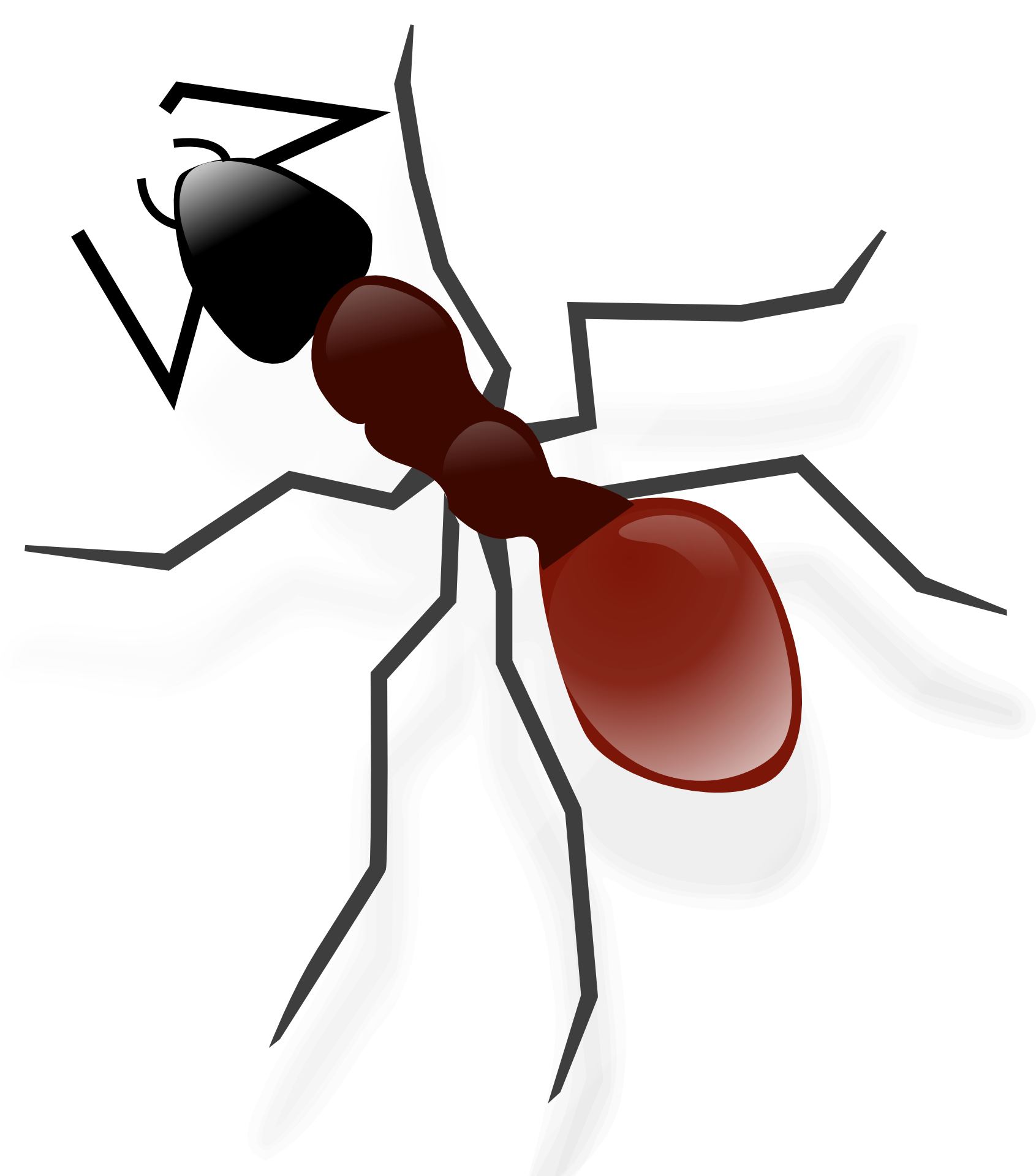 Vector Ant Transparent Background