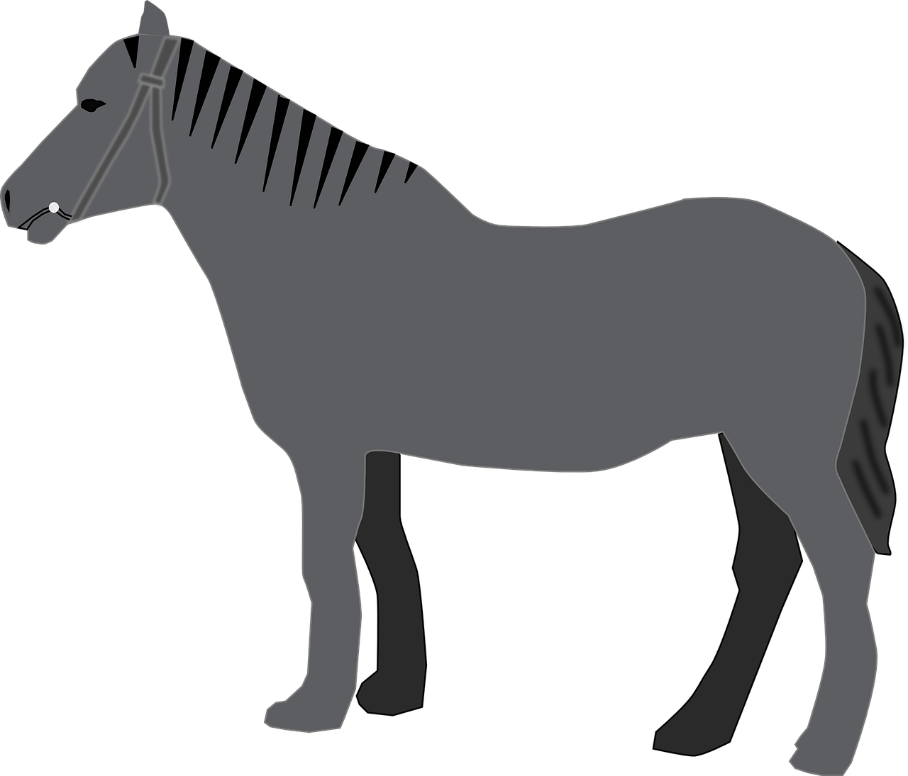 Вектор арабский конь PNG Image