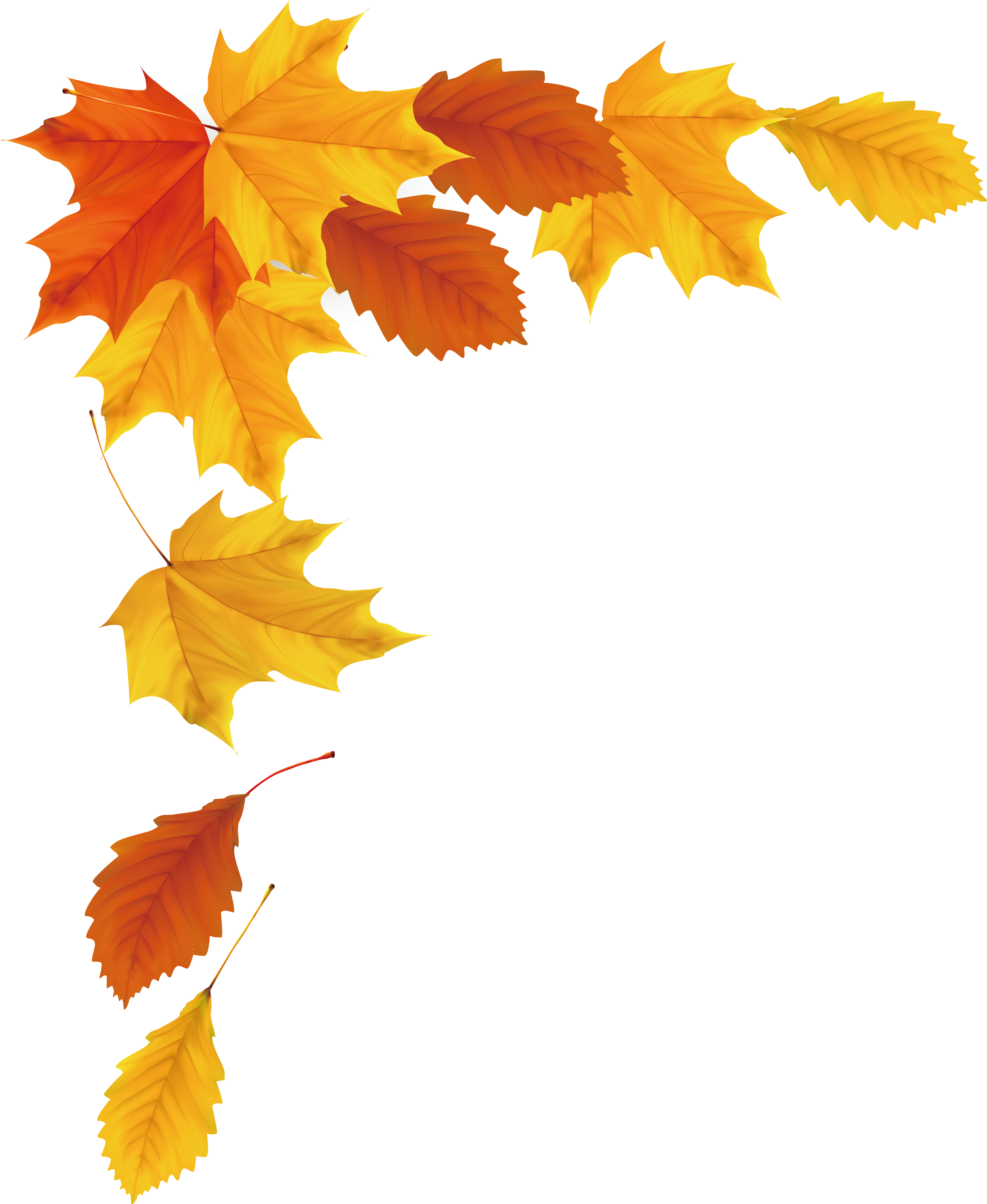 Vektor Herbstblatt fallender PNG HD