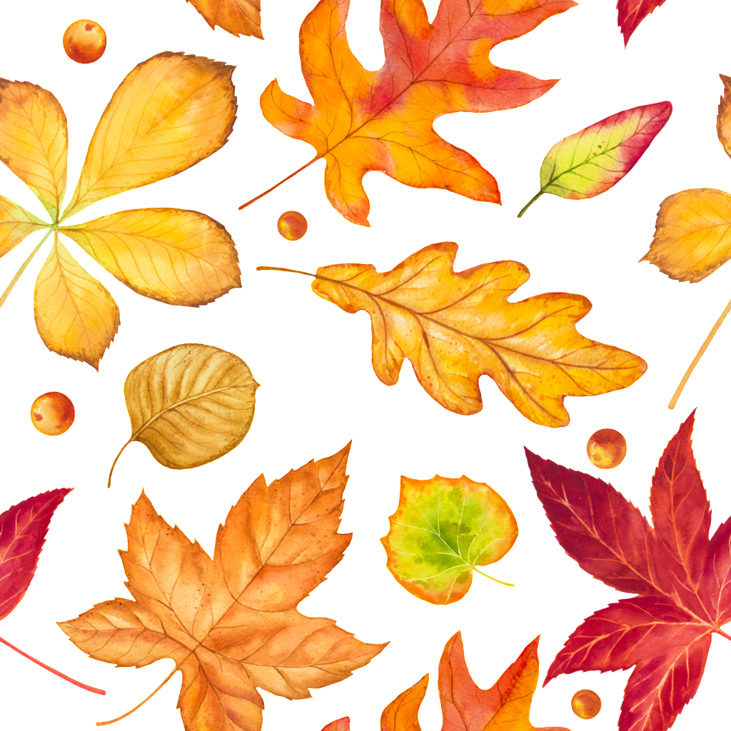 Vector Autumn Leaf Falling PNG Image