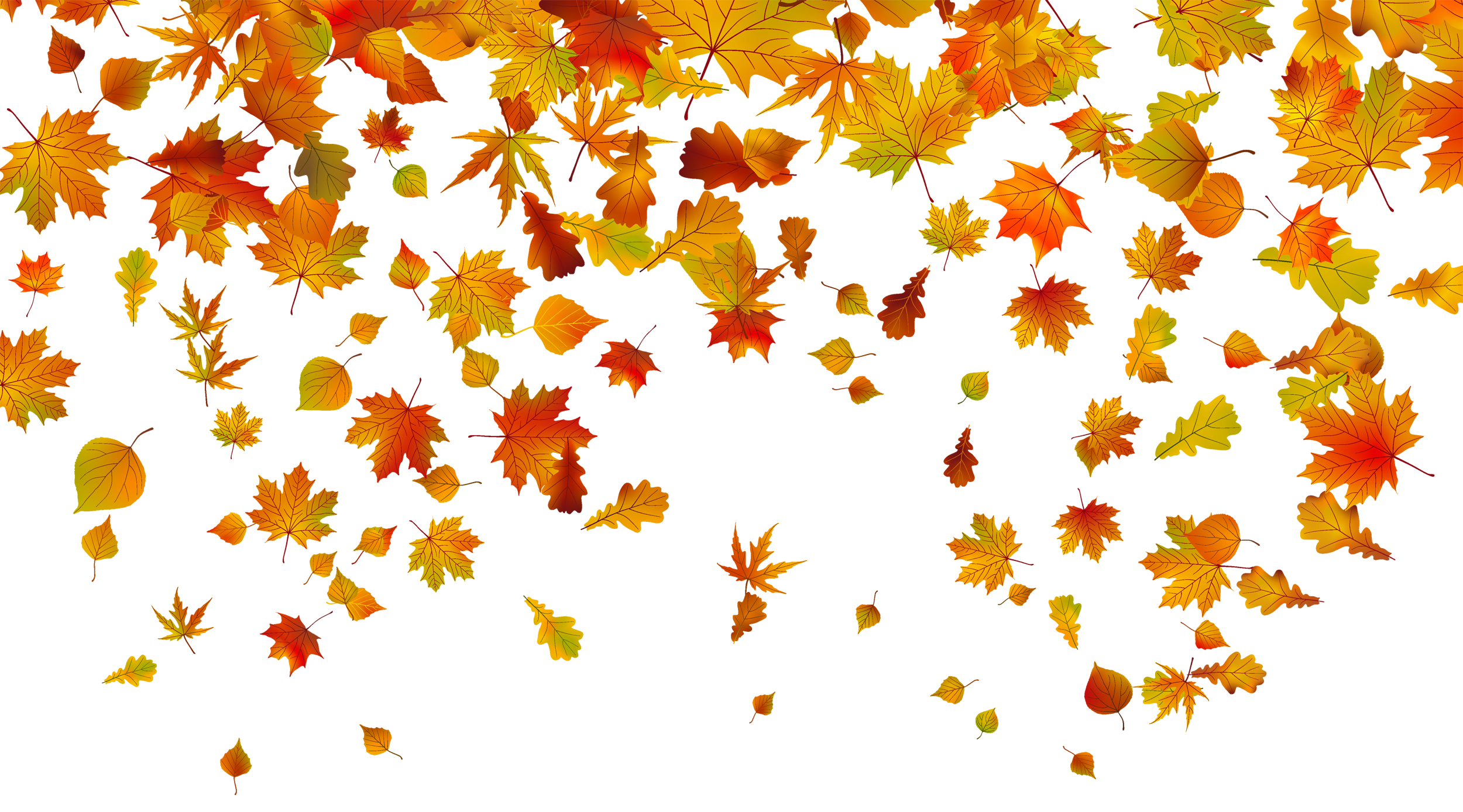 Vector Autumn Leaf Falling PNG Photo
