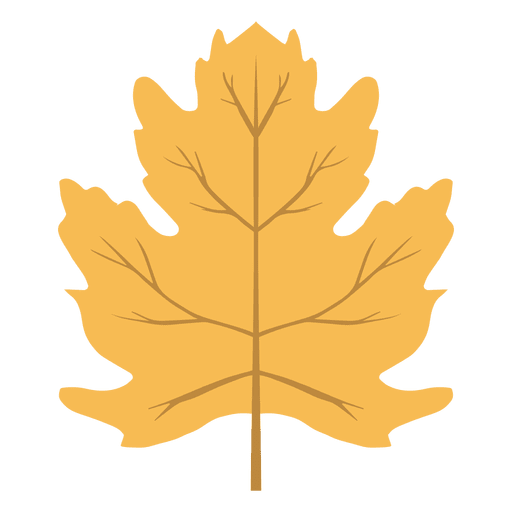 Vector Autumn Leaf Transparent PNG