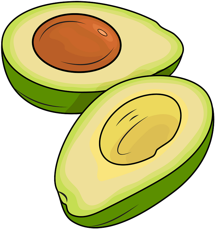 Vector Aguacate PNG Clipart