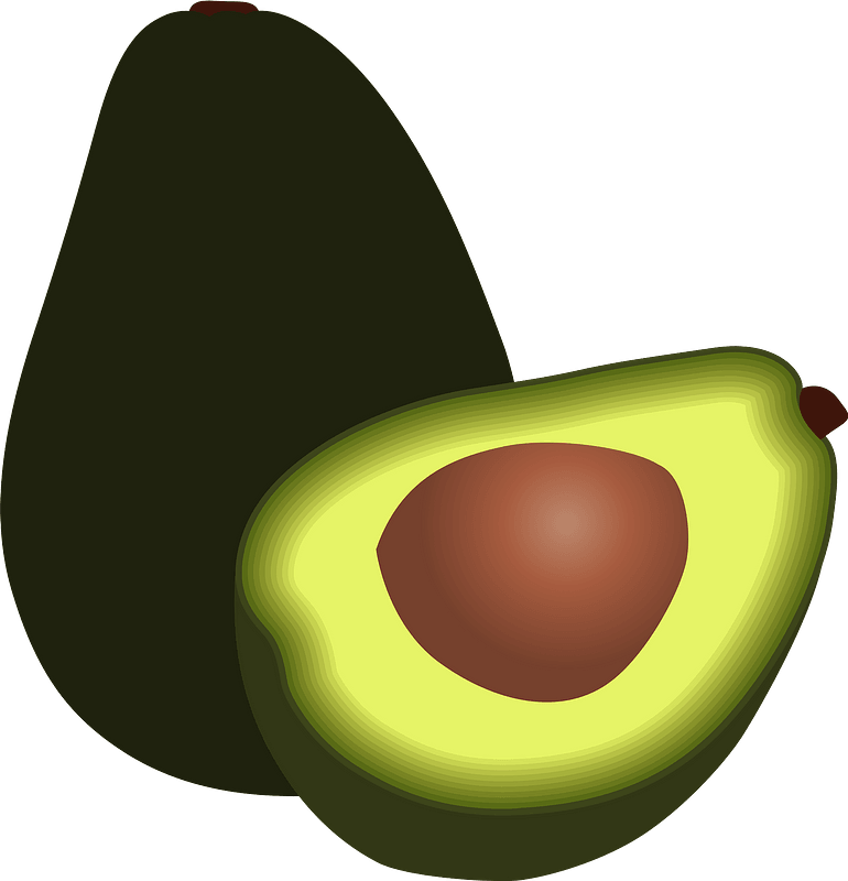 Vector Avocado PNG Picture