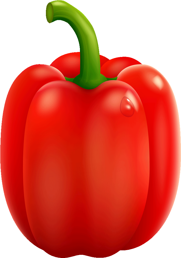 Vektor bell pepper merah capsicum Transparan PNG