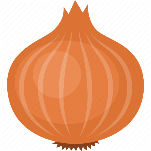 Vector Brown Onion PNG Clipart