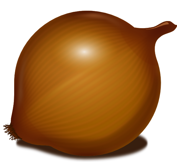 Vektör kahverengi soğan PNG Dosyası