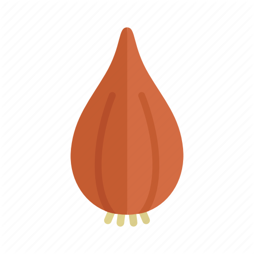 Vector Brown Onion PNG Transparent Image