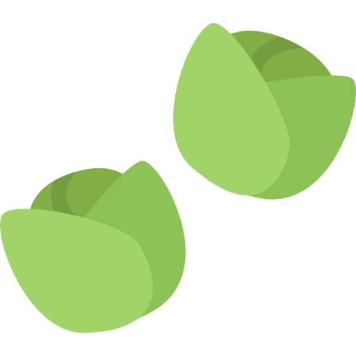 Vector Brussels Sprouts PNG File