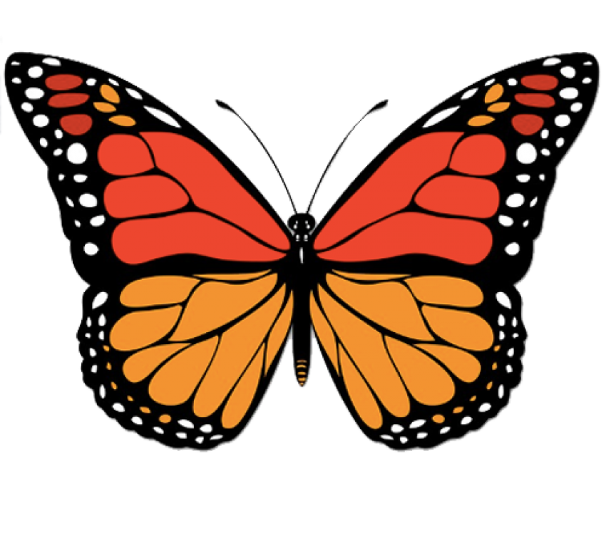 Vector Butterfly PNG Clipart