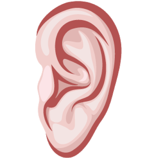 Vector Ear PNG Picture