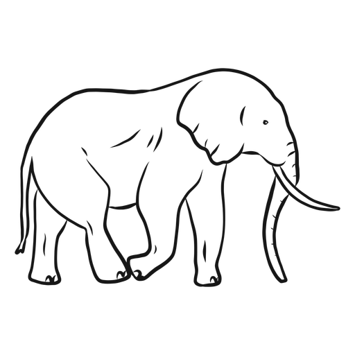 Vector Elephant PNG Picture