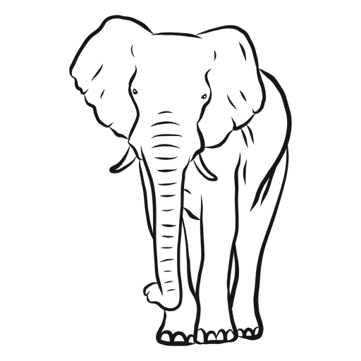 Vector Elephant PNG Transparent